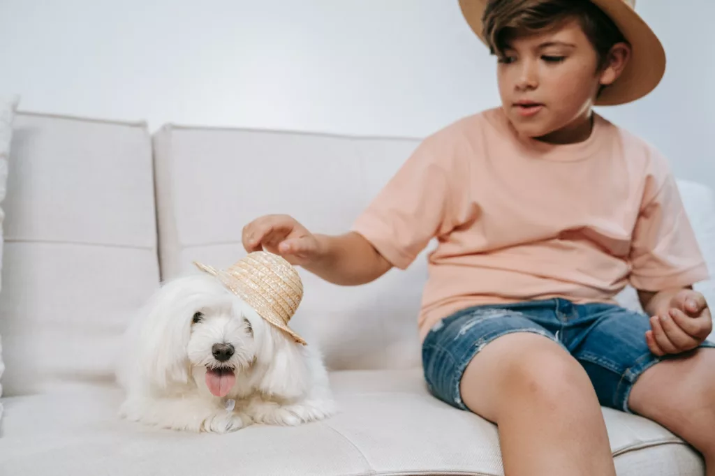 5 Best Dog Bucket Hats You Can Buy on Amazon (2023)